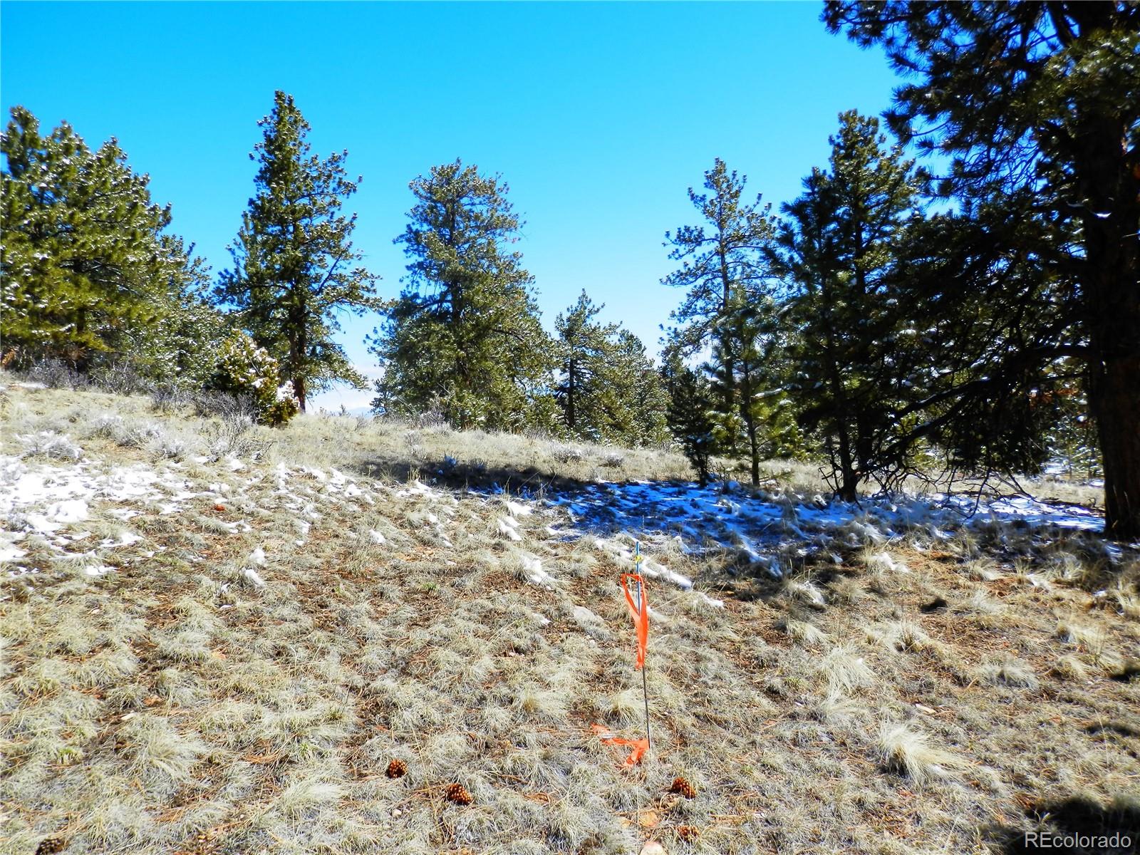 10464 Ranch Road Hartsel, CO 80449 - Photo 5 of 39