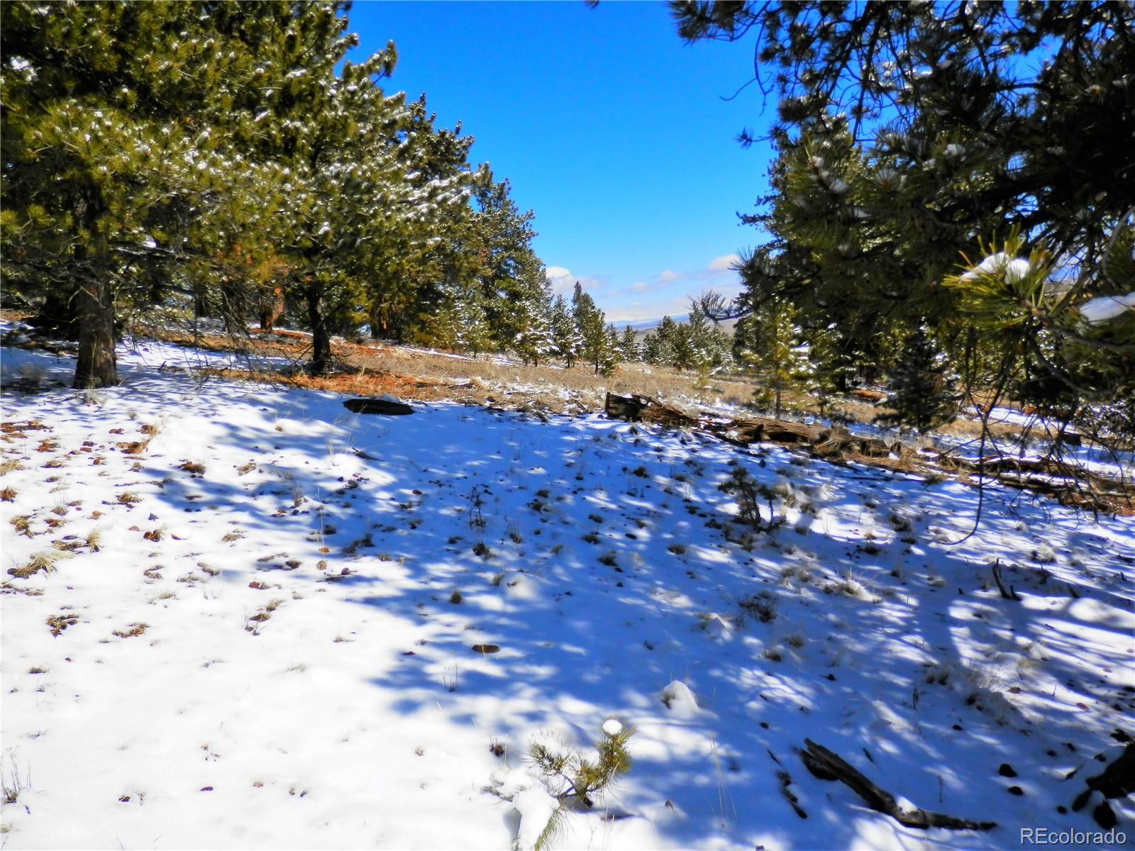 10464 Ranch Road Hartsel, CO 80449 - Photo 6 of 39