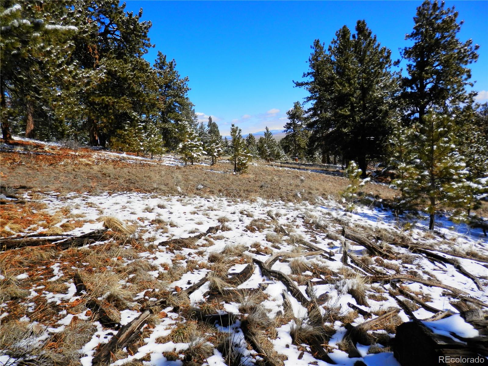 10464 Ranch Road Hartsel, CO 80449 - Photo 7 of 39