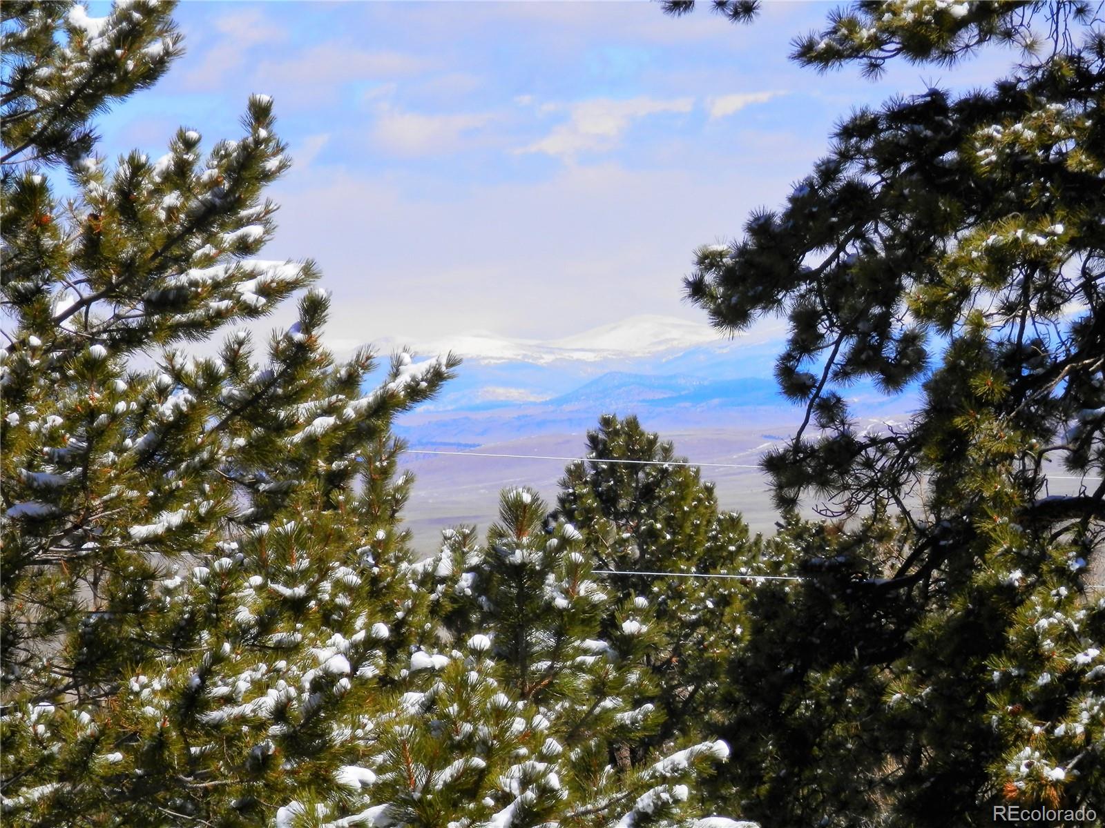 10464 Ranch Road Hartsel, CO 80449 - Photo 8 of 39