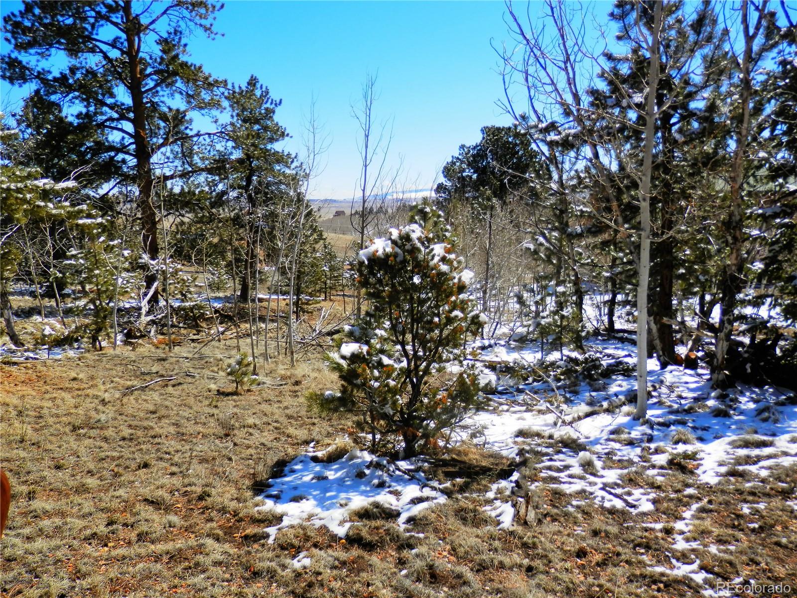 10464 Ranch Road Hartsel, CO 80449 - Photo 9 of 39