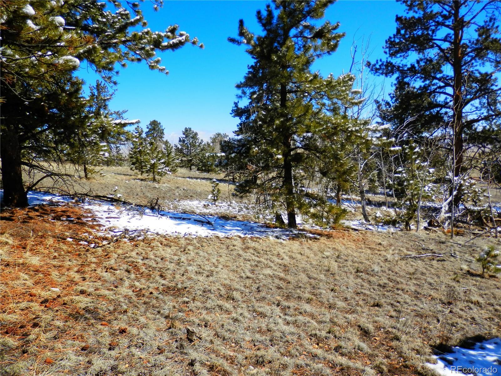 10464 Ranch Road Hartsel, CO 80449 - Photo 10 of 39