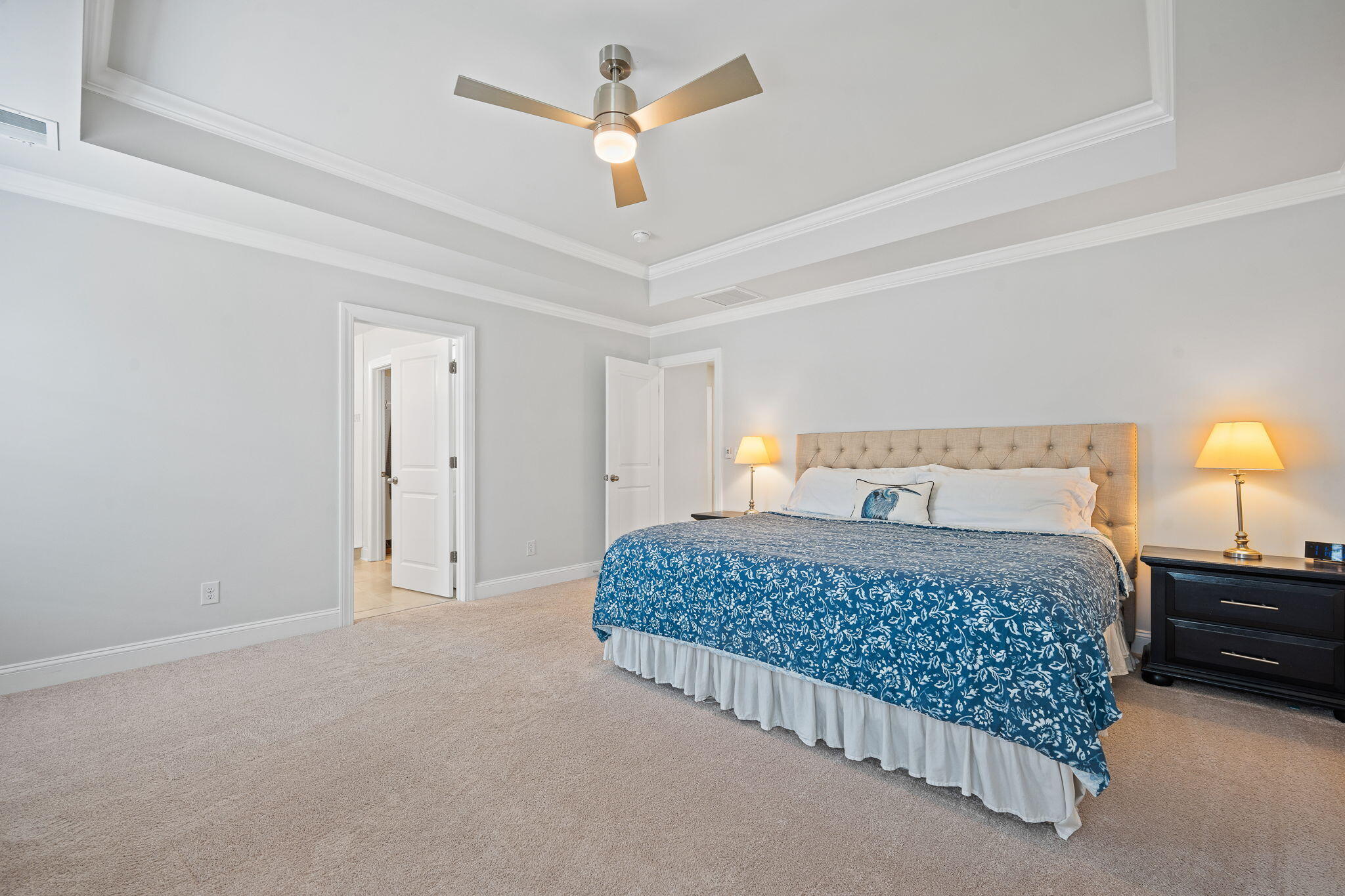 101 Box Girder Road Huger, SC 29450 - Photo 21 of 50 Tray Ceiling