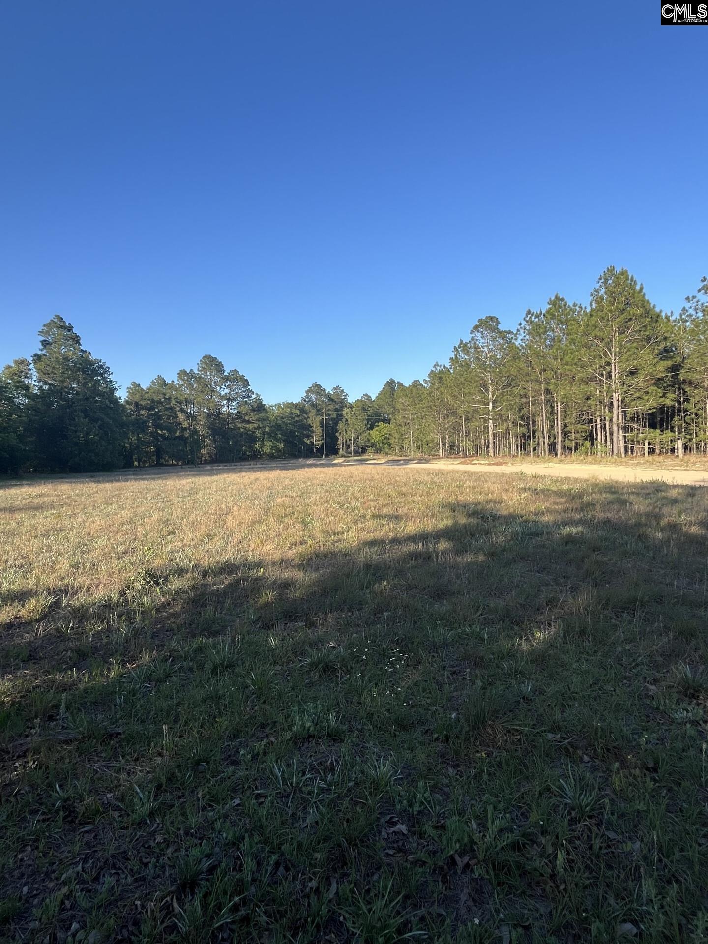 1860 Martin Smith Road Leesville, SC 29070 - Photo 4 of 16