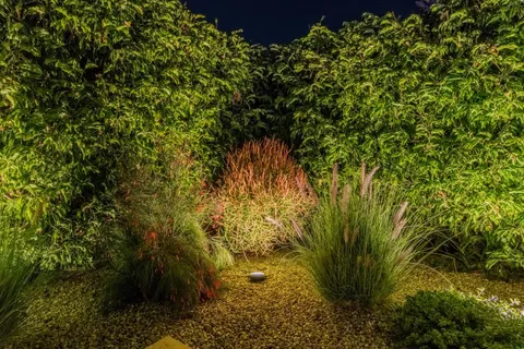 a living room with furniture a large window and potted plants