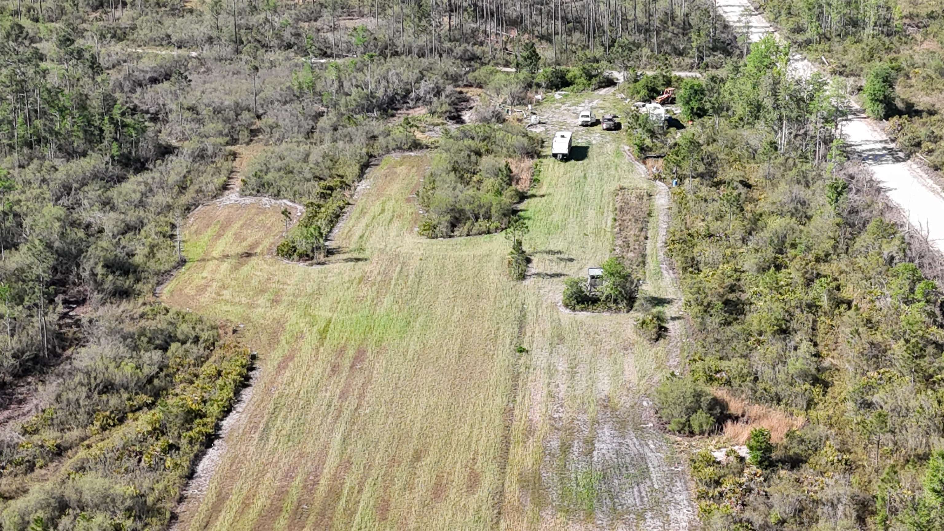 0 Madison Main Line Road Perry, FL 32347 - Photo 18 of 50