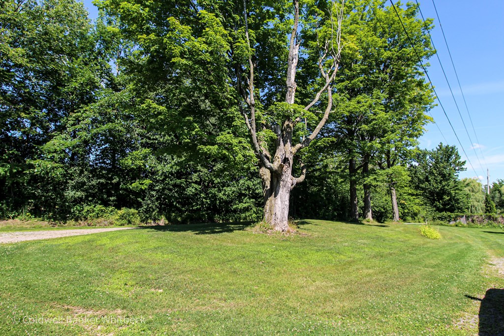 65 Turner Road Morrisonville, NY 12962 - Photo 33 of 42 Gallery Image 33