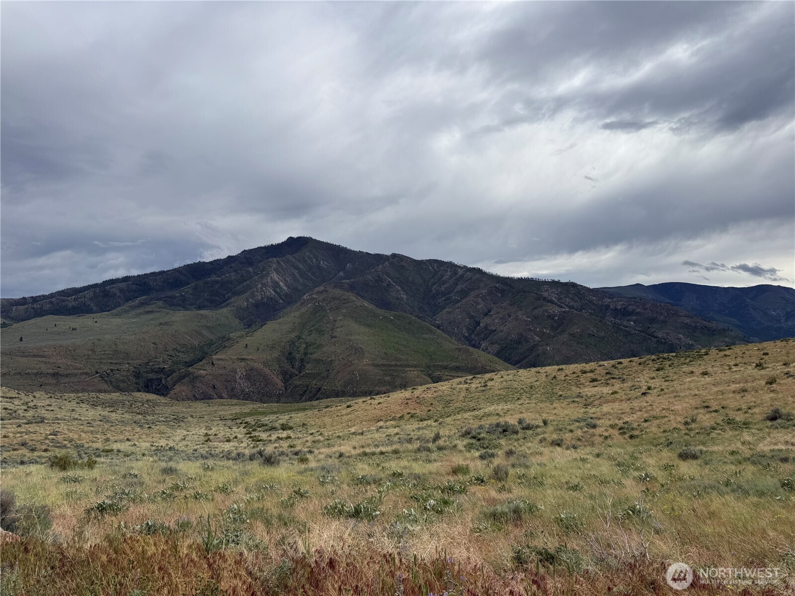 300 Buckhorn Mountain Road Pateros, WA 98846 - Photo 8 of 12