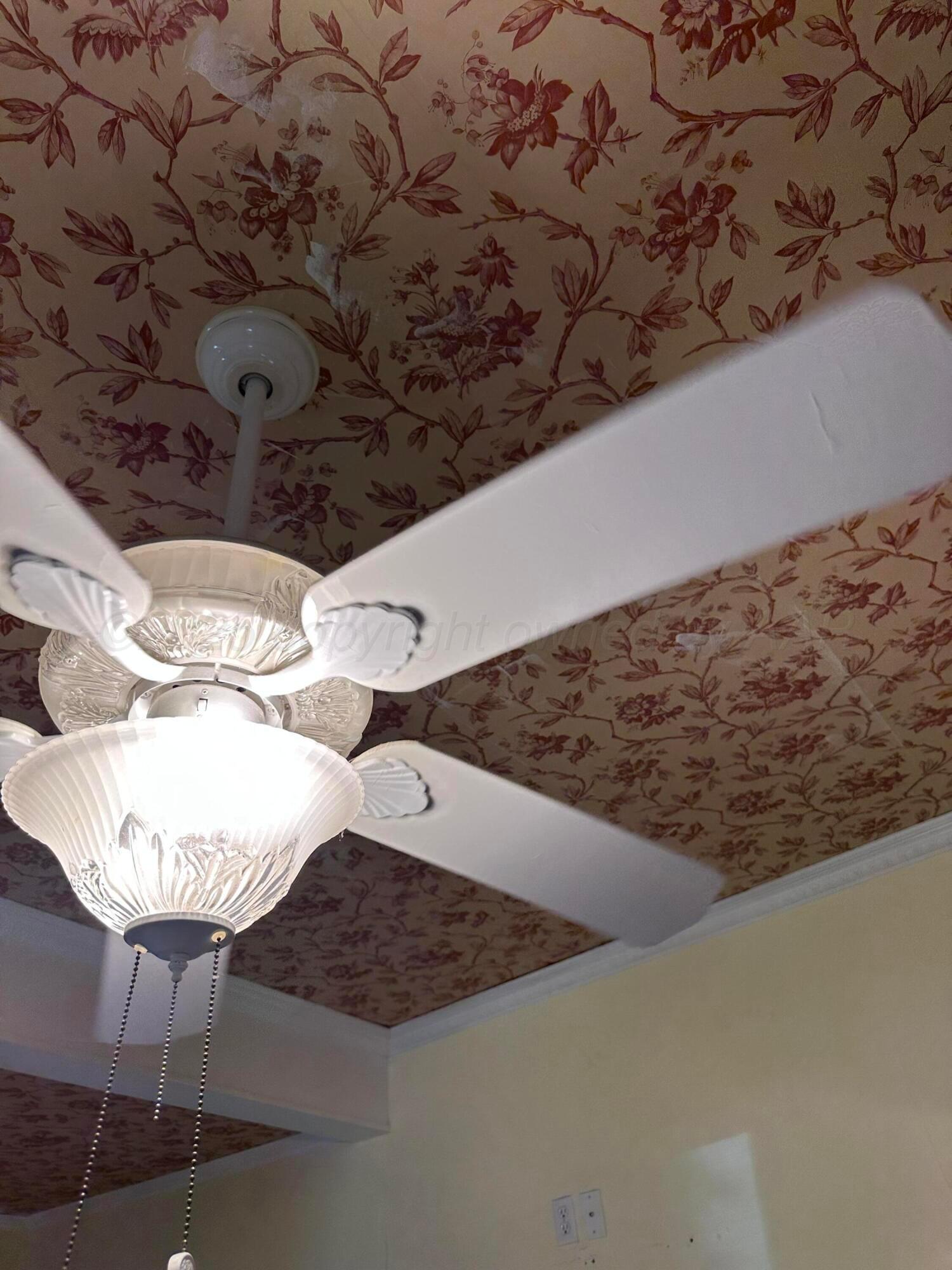 1303 3rd Avenue Canyon, TX 79015 - Photo 71 of 104 Master BR Ceiling