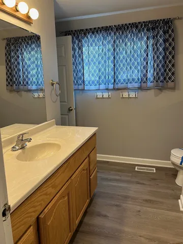 a bathroom with a sink a toilet and vanity