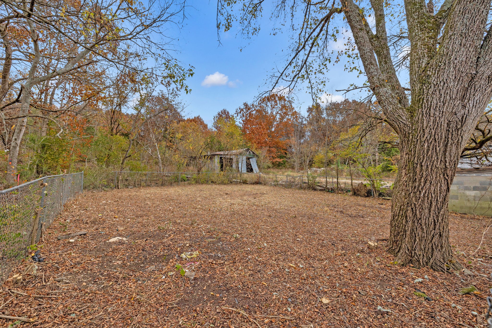940 Springplace Road Lewisburg, TN 37091 - Photo 54 of 61 Gallery Image 54