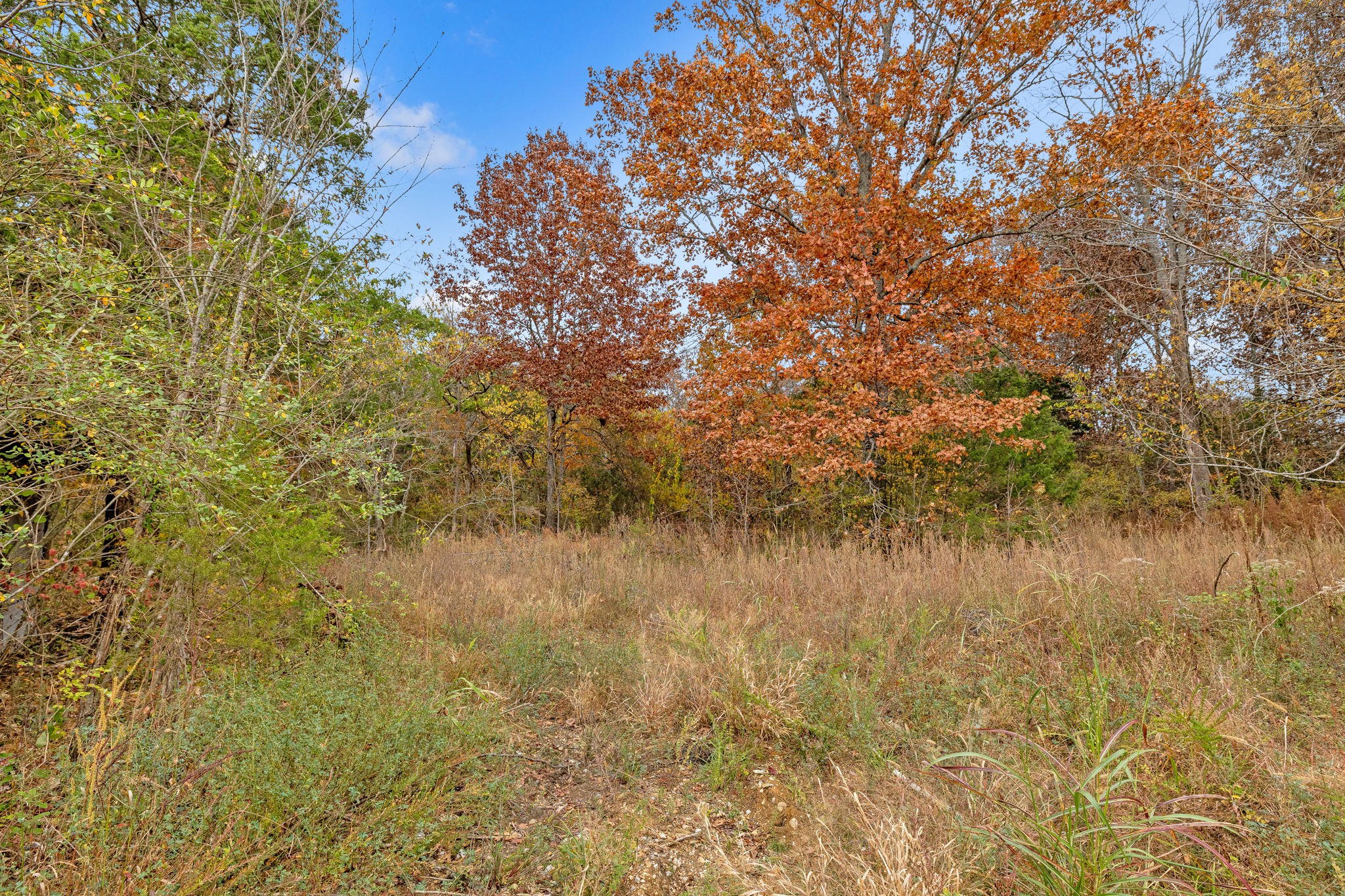 940 Springplace Road Lewisburg, TN 37091 - Photo 61 of 61 Gallery Image 61