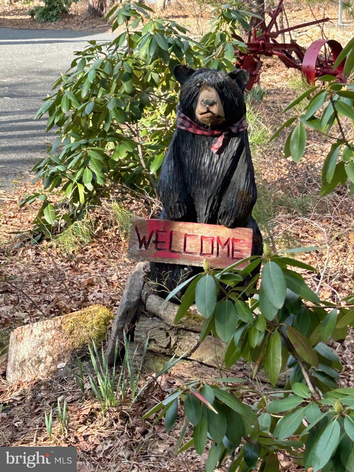827 Weymouth Road Buena, NJ 08310 - Photo 14 of 41 Charming bear greets with Welcome sign.