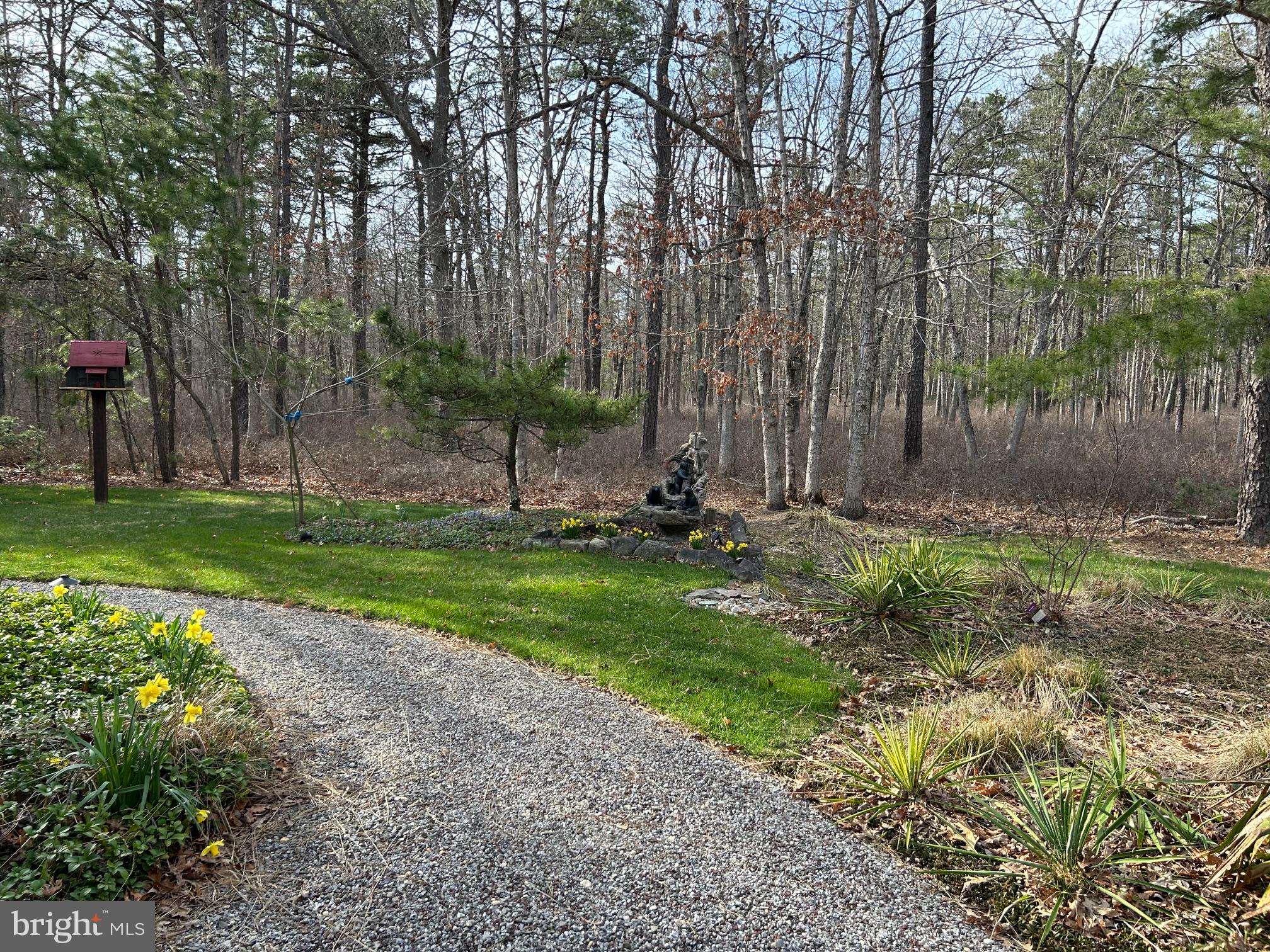 827 Weymouth Road Buena, NJ 08310 - Photo 9 of 41 Tranquil garden path in nature.