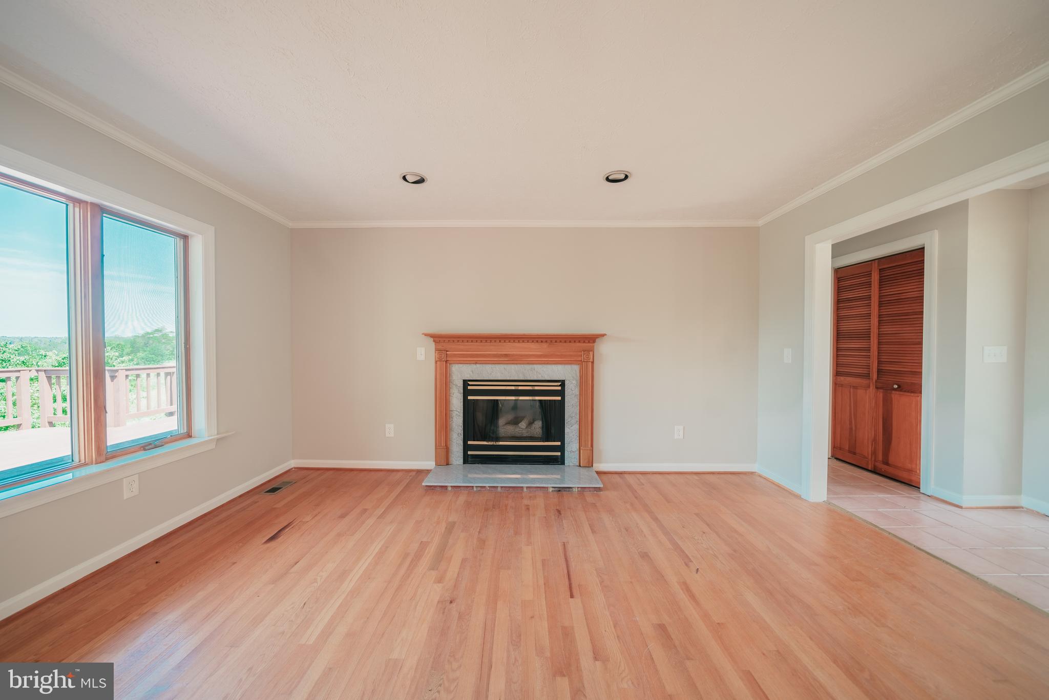 23562 Cedar Ridge Road Rapidan, VA 22733 - Photo 16 of 34 Fireplace