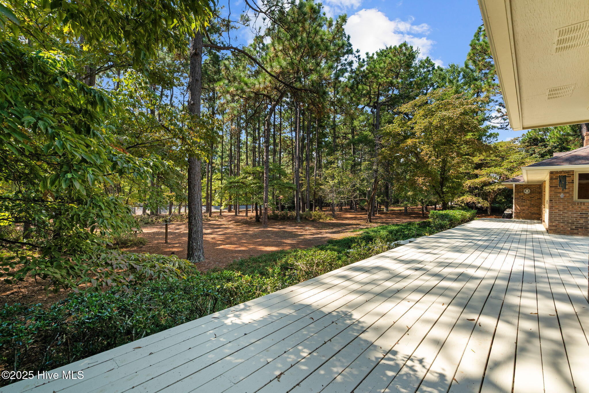 50 Wilson Road Pinehurst, NC 28374 - Photo 44 of 47 54-web-or-mls-DSC08612