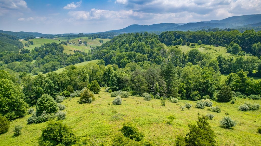 69.65-ac Widener Valley Road Glade Spring, VA 24340 - Photo 15 of 19 Gallery Image 15