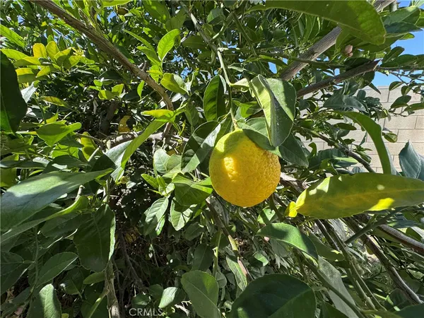 a view of a room with table and chairs