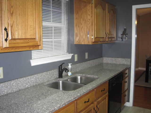 141 Spring Valley Lane Ringgold, GA 30736 - Photo 6 of 29 IMG_0524