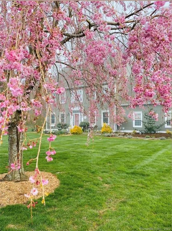 81 Meadow Ridge Drive Lebanon, CT 06249 - Photo 1 of 1 Gorgeous Custom Colonial on 2.95 Acres!