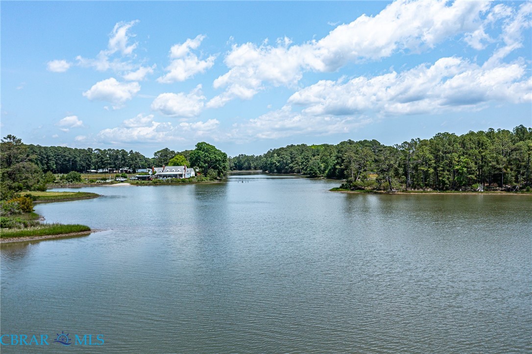 1439 North River Road Foster, VA 23056 - Photo 10 of 30