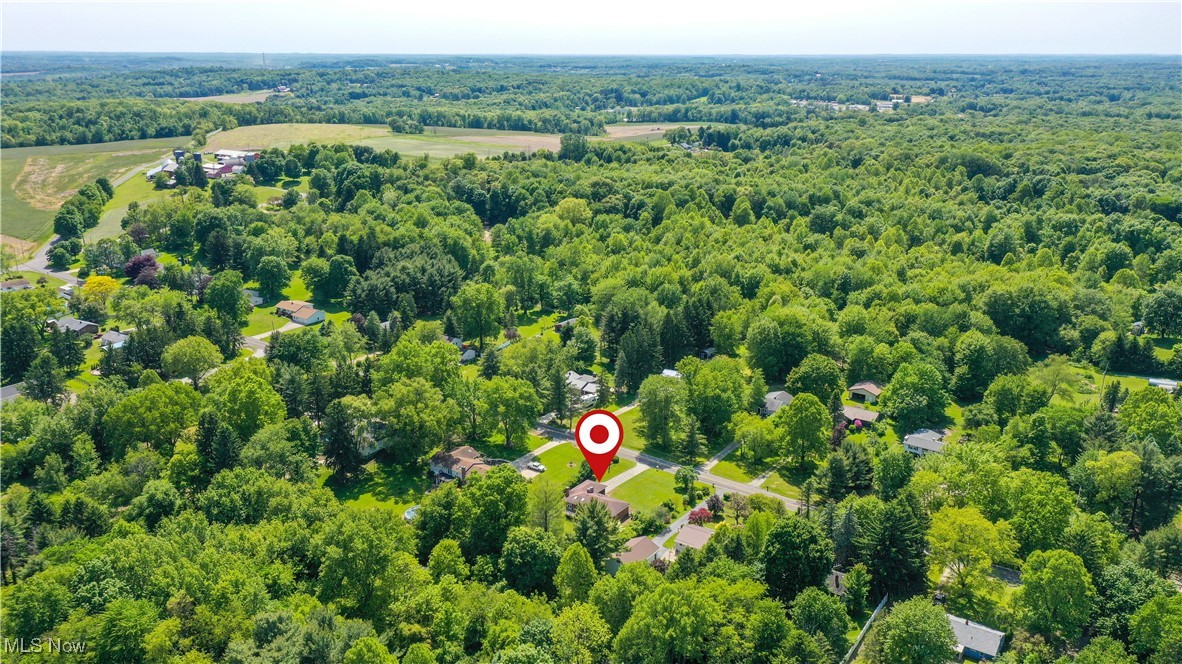 11828 Sheldon Road Mantua, OH 44255 - Photo 28 of 31 Aerial view of home location