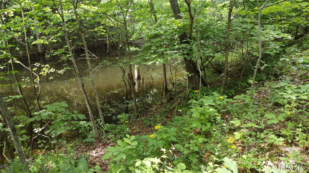 16477 State Hwy A Sullivan, MO 63080 - Photo 12 of 75