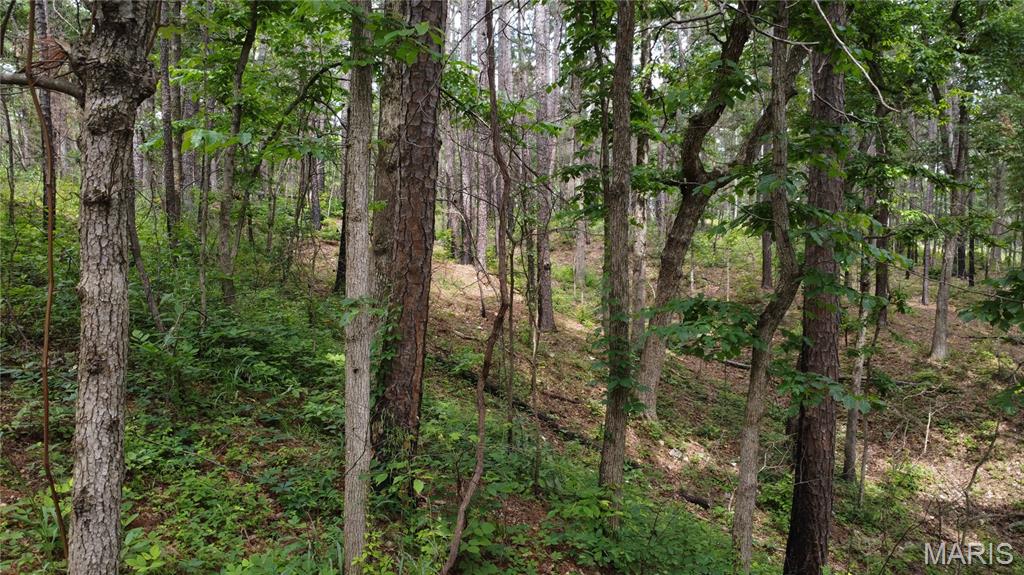 16477 State Hwy A Sullivan, MO 63080 - Photo 16 of 75