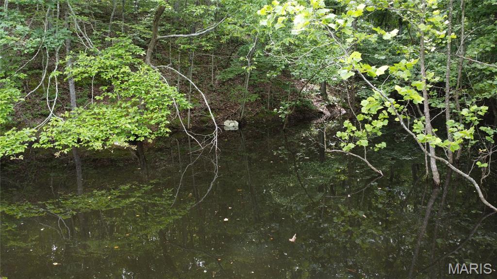 16477 State Hwy A Sullivan, MO 63080 - Photo 17 of 75