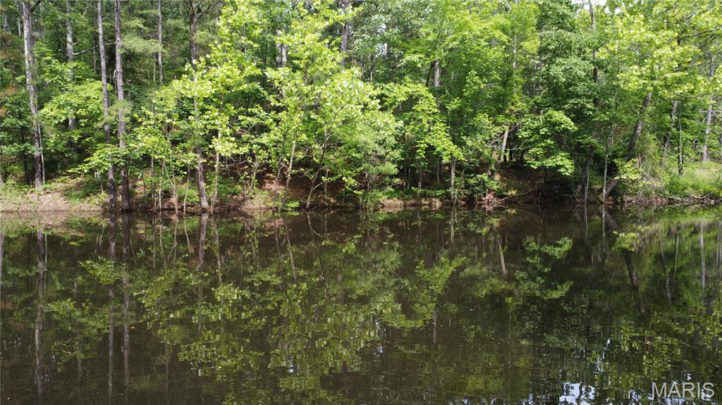 16477 State Hwy A Sullivan, MO 63080 - Photo 2 of 75