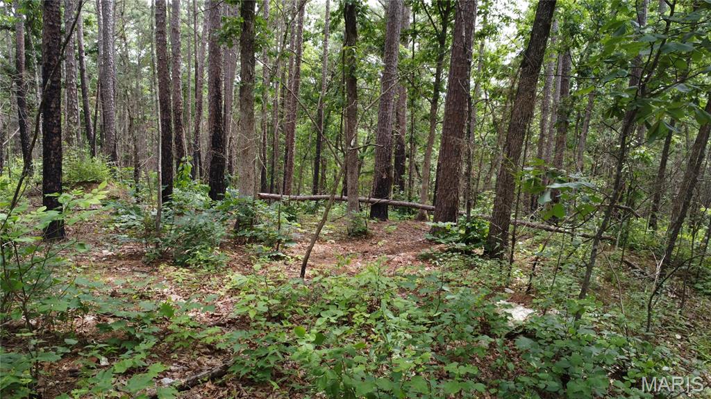 16477 State Hwy A Sullivan, MO 63080 - Photo 24 of 75