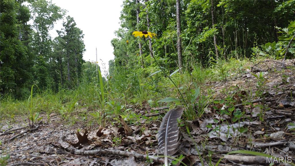 16477 State Hwy A Sullivan, MO 63080 - Photo 25 of 75