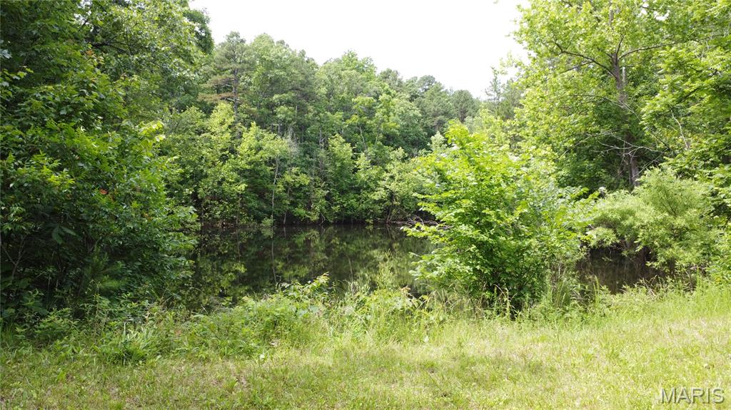 16477 State Hwy A Sullivan, MO 63080 - Photo 36 of 75