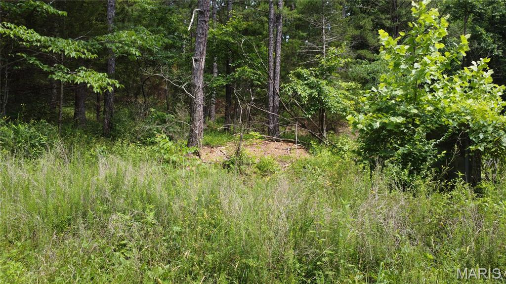 16477 State Hwy A Sullivan, MO 63080 - Photo 41 of 75