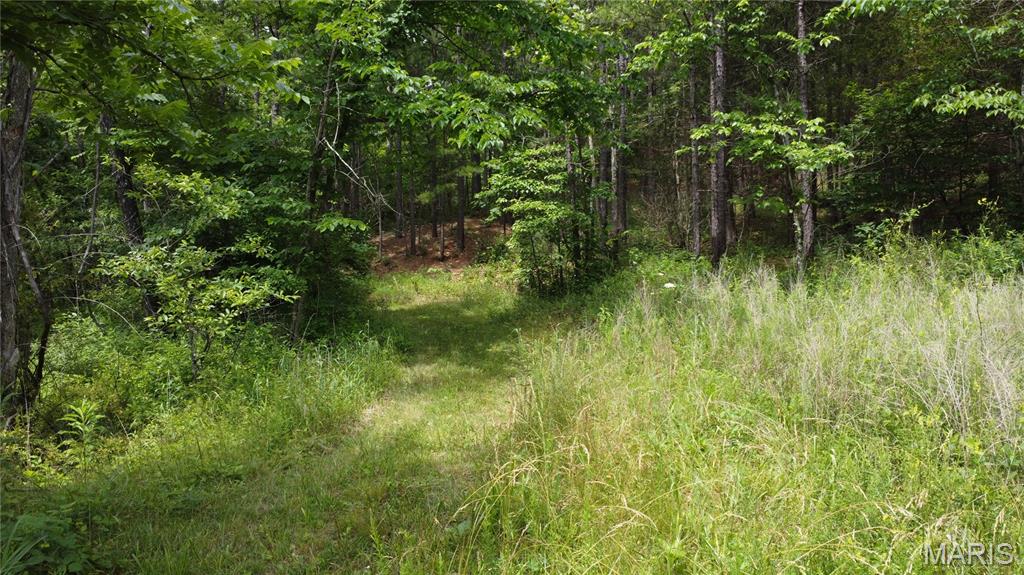 16477 State Hwy A Sullivan, MO 63080 - Photo 43 of 75