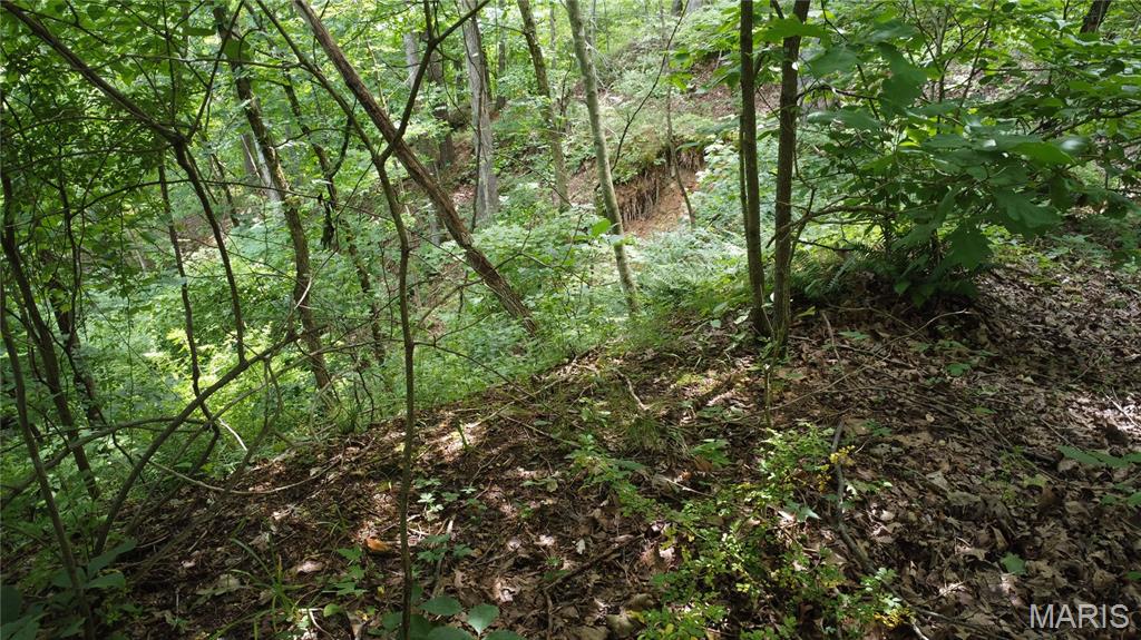 16477 State Hwy A Sullivan, MO 63080 - Photo 47 of 75