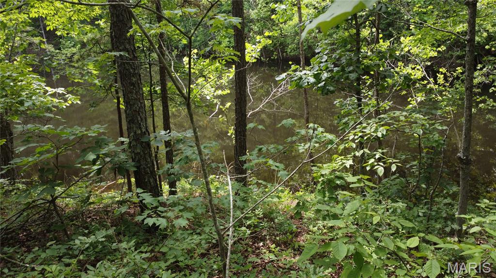 16477 State Hwy A Sullivan, MO 63080 - Photo 48 of 75