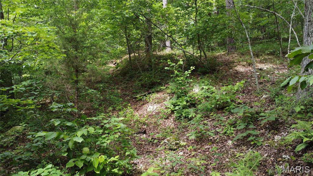 16477 State Hwy A Sullivan, MO 63080 - Photo 49 of 75