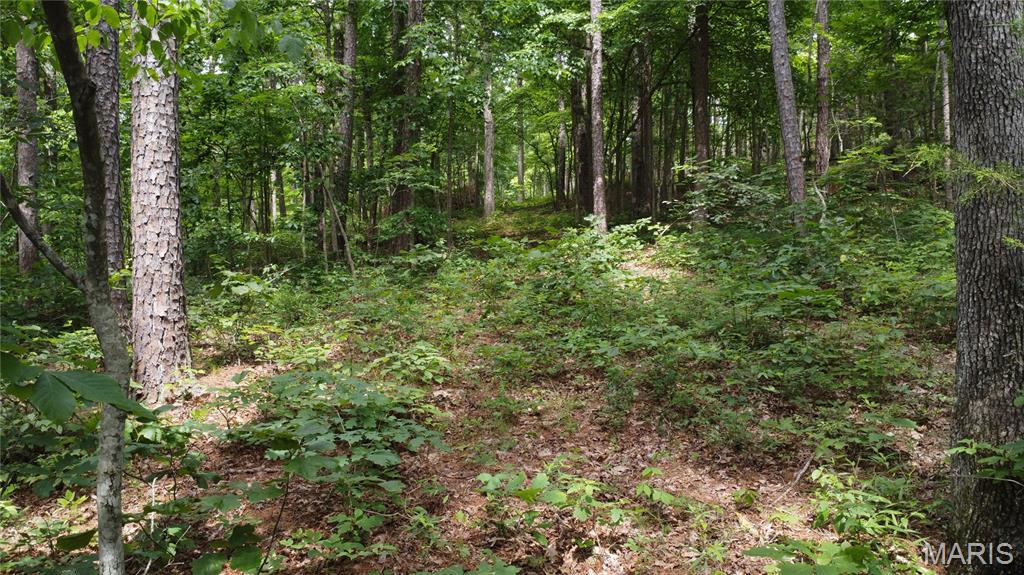 16477 State Hwy A Sullivan, MO 63080 - Photo 50 of 75