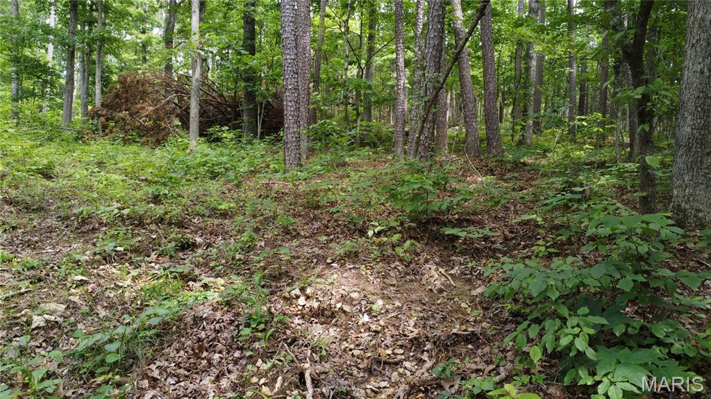 16477 State Hwy A Sullivan, MO 63080 - Photo 51 of 75