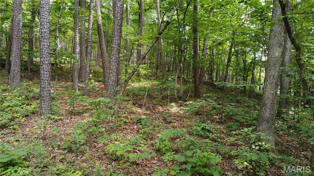 16477 State Hwy A Sullivan, MO 63080 - Photo 53 of 75