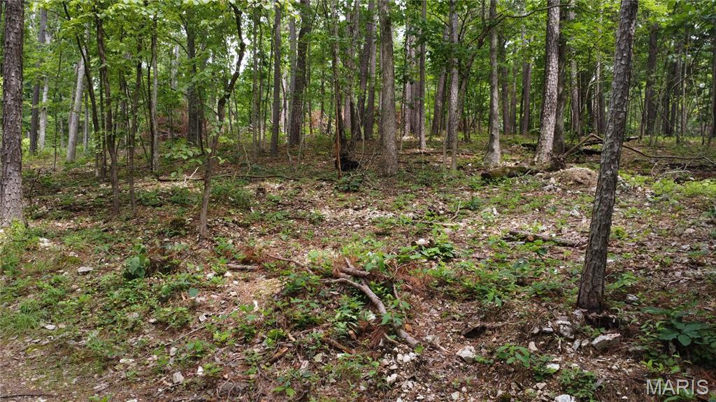 16477 State Hwy A Sullivan, MO 63080 - Photo 54 of 75