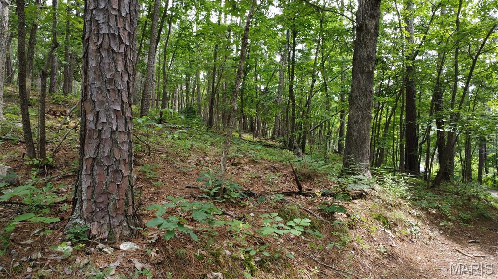 16477 State Hwy A Sullivan, MO 63080 - Photo 55 of 75