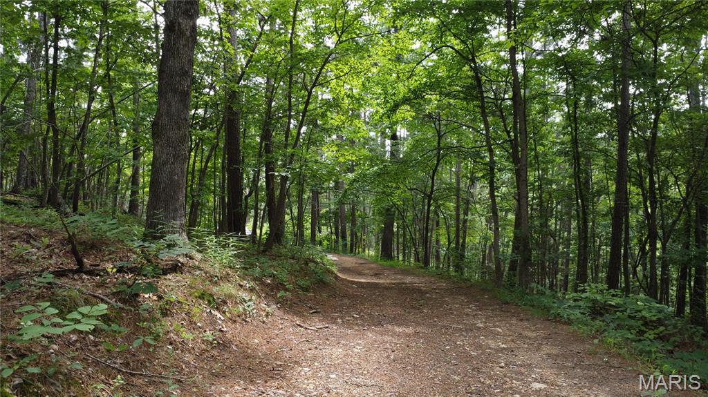 16477 State Hwy A Sullivan, MO 63080 - Photo 56 of 75