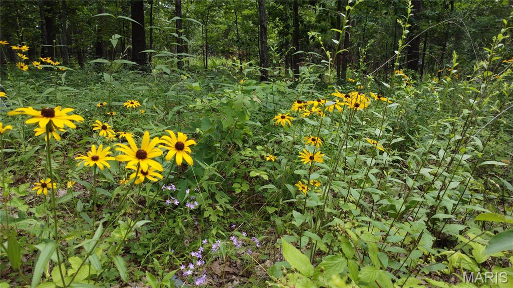 16477 State Hwy A Sullivan, MO 63080 - Photo 57 of 75