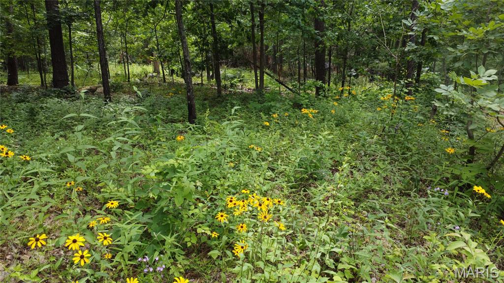 16477 State Hwy A Sullivan, MO 63080 - Photo 58 of 75