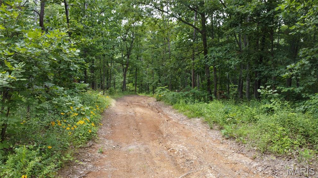 16477 State Hwy A Sullivan, MO 63080 - Photo 59 of 75