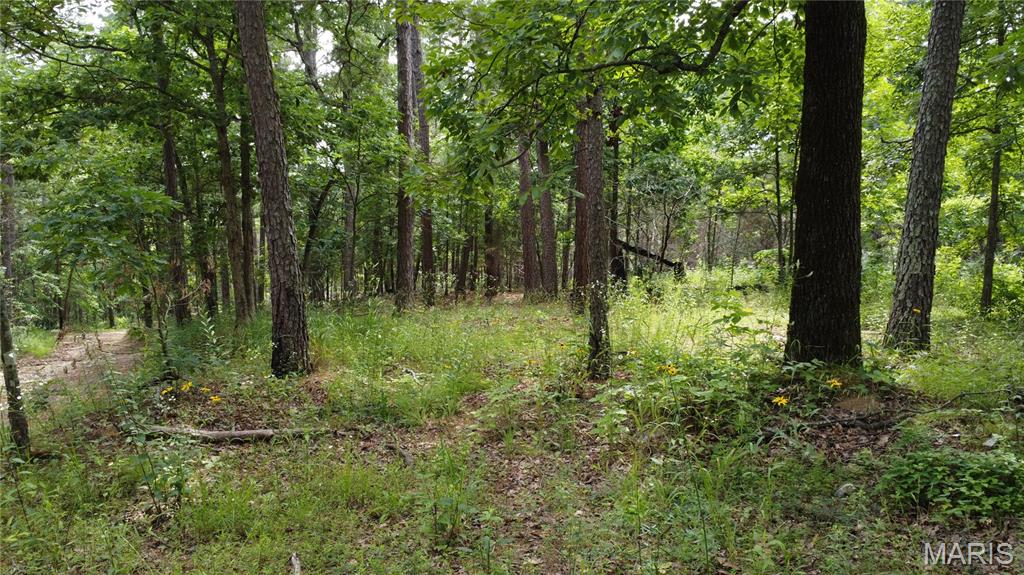 16477 State Hwy A Sullivan, MO 63080 - Photo 62 of 75