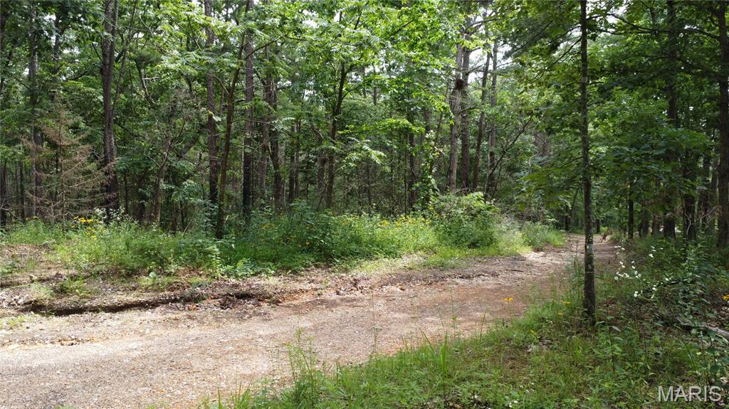 16477 State Hwy A Sullivan, MO 63080 - Photo 63 of 75