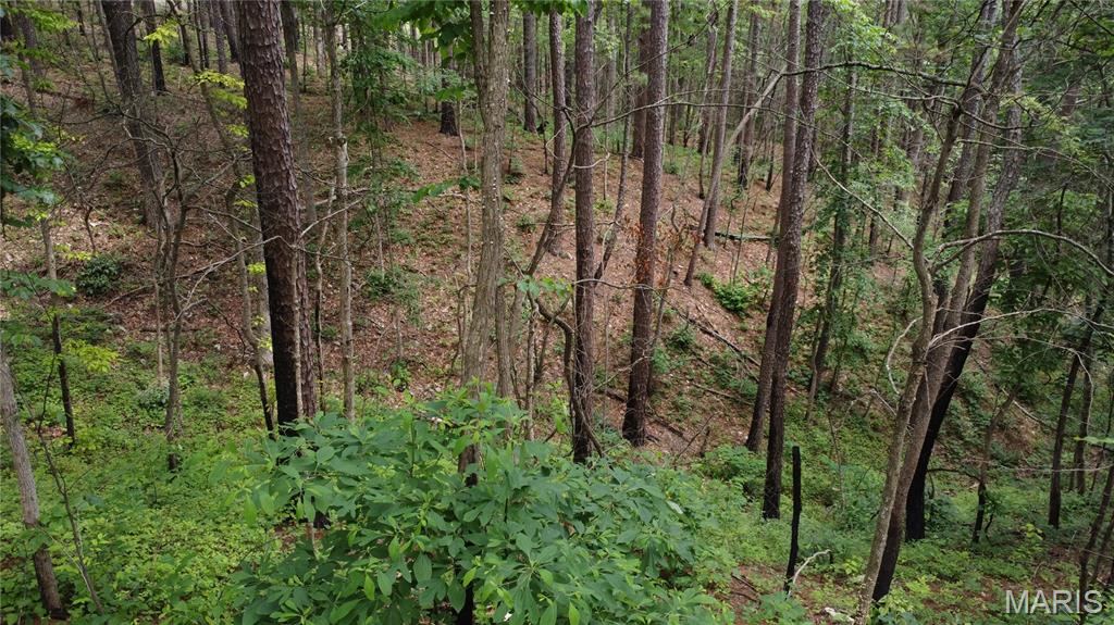 16477 State Hwy A Sullivan, MO 63080 - Photo 64 of 75